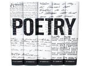 poetcraft poetcraft