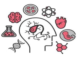 HealthScience HealthScience